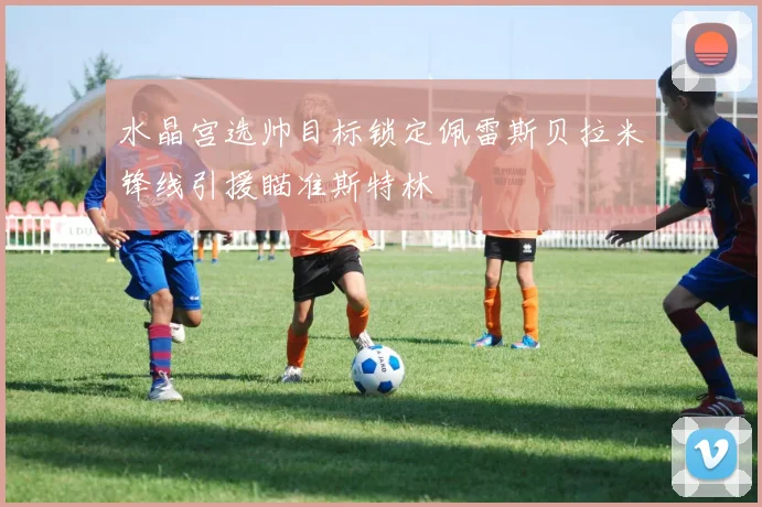 水晶宫选帅目标锁定佩雷斯贝拉米锋线引援瞄准斯特林