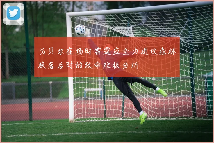 戈贝尔在场时雷霆应全力进攻森林狼落后时的致命短板分析