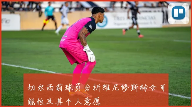 切尔西前球员分析维尼修斯转会可能性及其个人意愿