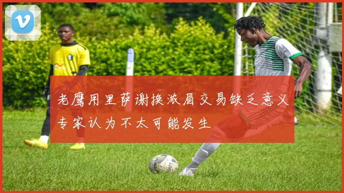 老鹰用里萨谢换浓眉交易缺乏意义专家认为不太可能发生